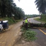 Pohon Tumbang Menghalangi Akses Jalan, Respon Cepat Sat Lantas Polres Pasangkayu