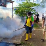 Kasus DBD Meningkatkan, Dinkes Mamuju Lakukan Fogging