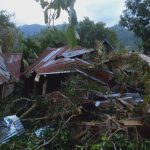 Tiga Rumah Warga Tertimpa Pohon Tubang di Kecamatan Pana