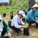 Pemprov Sulbar Jaga NTP Melalui Gerakan Sejuta Tanam Cabai, Stop Boros Pangan dan Optimalkan Lahan Kebun dan Pekarangan