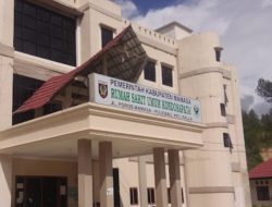 Dokter Mogok Kerja di Kabupaten Mamasa, Ketua PWMPM Angkat Bicara