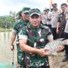 Dukung Ketahanan Pangan, Danrem 142 Tatag Panen Raya Ikan Nila