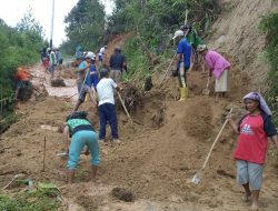 Harga Beras di Ulusalu Pana’ Tembus Rp 15.000/Kg, Ketua Gema P.U.S : Pemda Mamasa Tak Boleh Tinggal Diam