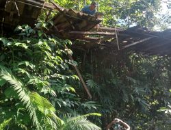 Jembatan Gantung Ambruk, 3 Warga Pangandaran Kabupaten Mamasa Terjun Kesungai