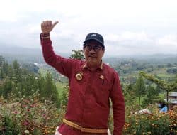 Menakar Peluang “YS” di Pilkada Mamasa 2024