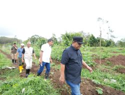 Dorong Pengembangan Holtikultura, Pj Gubernur Sulbar Ajak OPD Studi Karya ke Bulukumba
