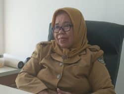 Presiden Jokowi Berkunjung ke Sulbar, Kadisdikpora Mamuju Harap Dampak Positif Bagi Pendidikan