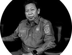 Ketua IDI Sulbar Ungkap Penyebab Sakit Ginjal Pada Anak dan Pencegahannya