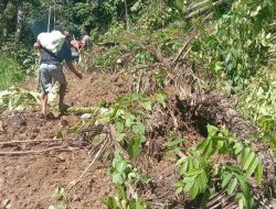 Akses ke Pangandaran Tertutup Material Longsor, Kades Minta Bantuan Pemda Mamasa