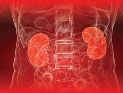 Waspada, Puluhan Anak di Sulbar Sakit Ginjal