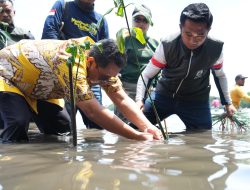 Semua Pihak Terlibat Sepekan Menanam Mangrove, PJ Bahtiar, Terima Kasih dan Ini Perlu Berkelanjutan