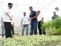 Temui Petani Sampaga, Pj Bahtiar Dorong Sulbar Miliki Brand Sendiri atas Produk Perkebunan