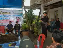 Pj Bupati Launching Penanaman Perdana Pisang Cavendhish di Sumarorong Berikut Sambutannya