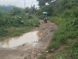 Program Inpres Lakahang-Burana-Pangadaran Gagal, PPK 2.3 PJN 2 Sulbar : yang Terealisasi Tampak kurra-Periangan-Tabulahan