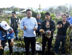 Pemprov Akan Bagi Bibit Hortikultura, Ini Imbauan Pj Bahtiar