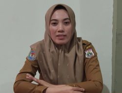 PMD Sulbar Siapkan Berbagai Jenis Bibit Buah-Buahan Untuk Pemberdayaan Masyarakat