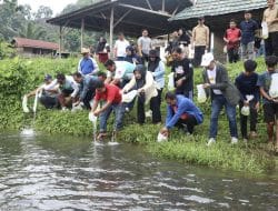 Forkopimda Bersama Warga Sebar Seratus Ribu Benih Ikan Nila di Kali Mamuju
