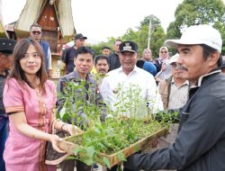 Dapat Bibit Gratis Dari Pj Bahtiar, Warga Tabang : Terima Kasih Pj Gubernur Sulbar