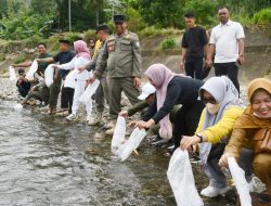 DKP Sulbar tebar 30 Ribu Bibit Ikan Nila di Bendungan Banua Majene