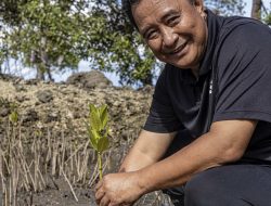 Data BPS, Sektor Pertanian Penyumbang Tertinggi Pertumbuhan Ekonomi Sulbar