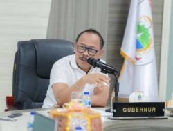 Rapat bersama PM-PTSP, Gubernur SDK: Potensi Saja Tidak Cukup, Tunjukkan Peluang Investasi