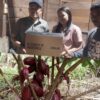 Diyakini Mampu Ubah Ekonomi, Senator Sulbar Ajak Petani Pelosok Mamasa Tanam Kakao