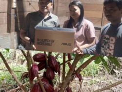 Diyakini Mampu Ubah Ekonomi, Senator Sulbar Ajak Petani Pelosok Mamasa Tanam Kakao