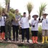 Pesta Panen Padi di Kalukku, Wagub Sulbar Dorong Strategi Jangka Panjang dengan Revolusi Irigasi Sulbar