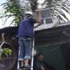 SDK-JSM Wujudkan Komitmen Internet Merata, 30 Titik Blankspot di Pasangkayu dan Mamuju Tengah Disasar Diskominfo Sulbar