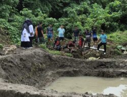 Kolaborasi DKP Sulbar dan Korem 142: Budidaya Ikan Nila untuk Pangan yang Berkelanjutan