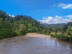 Selamatkan Sungai Karama, Pemprov Sulbar Galang Sinergi Stakeholder Lewat FGD