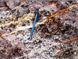 Dinas ESDM Sulbar Berkomitmen Dorong Tata Kelola LTJ Mamuju yang Transparan dan Berkelanjutan