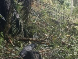 Akses Jalan ke Desa Pangadaran Tertutup Longsor, Warga Kesulitan Penuhi Kebutuhan Pokok