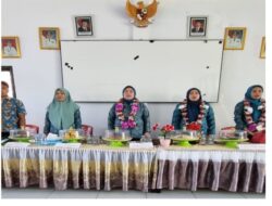 TP PKK Provinsi Lakukan Pembinaan 10 Program Pokok PKK di Mamuju Tengah dan Pasangkayu