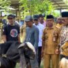 Bukti Keberhasilan Program: 410 Ekor Kambing Bertambah dari Bantuan SDK-JSM dalam 6 Bulan