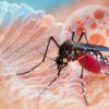 Wabah DBD Melanda Desa Kinatang Kabupaten Mamuju, Satu Warga Meninggal Dunia