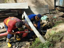 Ular Piton Mangsa Ternak Masyarakat, Damkar Sulbar Lakukan Penyisiran Intensif