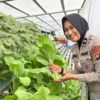 Pengendara Tertib Dapat Hadiah Sayuran Segar dari Ditlantas Polda Sulbar