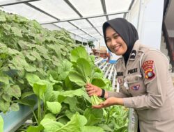Pengendara Tertib Dapat Hadiah Sayuran Segar dari Ditlantas Polda Sulbar