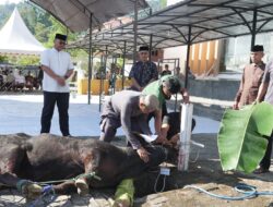 Polda Sulbar Wujudkan Nilai Pengorbanan Lewat Penyembelihan dan Pembagian Hewan Qurban