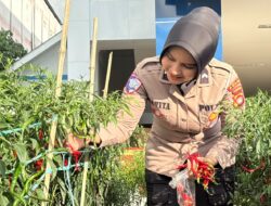 Dorong Budaya Tertib Berlalu Lintas, Ditlantas Polda Sulbar Konsisten Beri Apresiasi kepada Pengendara