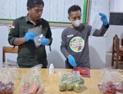 Dinas Pangan Sulbar Intensifkan Pengawasan dan Uji Sampel PSAT di Polman dan Mamasa