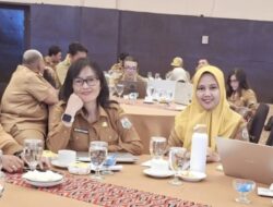 Perkuat Tata Kelola Bersih, DPMPTSP Sulbar Ikuti Asistensi Pengendalian Korupsi dan SPIP Terintegrasi