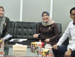 DPRD Sulbar Ambil Langkah Strategis Soal Pilwagub dan MY ASN