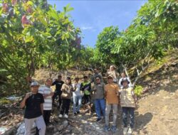 Sambut Bappenas, Sentra Kakao Pammulukang Dipersiapkan Jadi Lokasi Percontohan
