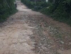 Jalan Aralle Utara–Salutambun Kembali Rusak, Berkham Seno: Jangan Jadikan Infrastruktur Proyek Seremonial