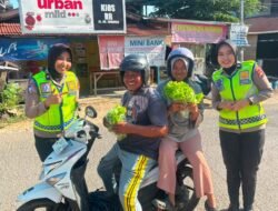 Panen Sayur, Ditlantas Polda Sulbar Wujudkan Ketahanan Pangan dan Kepedulian Sosial