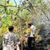 Karhutla Berkobar di Kebun Warga Sumare, Tim Gabungan Bergerak Cepat