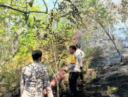 Karhutla Berkobar di Kebun Warga Sumare, Tim Gabungan Bergerak Cepat