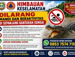 Waspada Buaya! BPBD Mamuju Tengah Imbau Warga Hentikan Aktivitas di Sungai